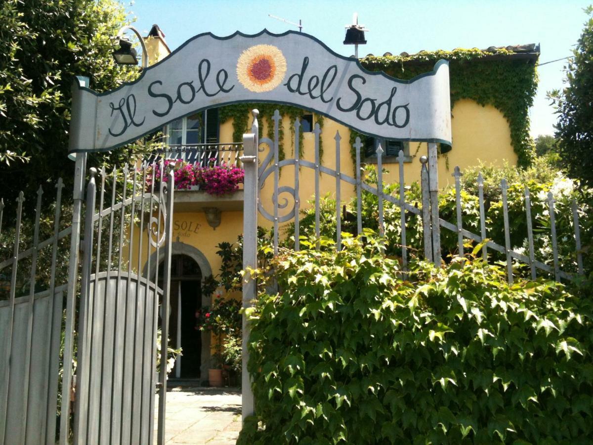 Il Sole Del Sodo Guest House Cortona Exterior photo